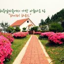 하이디민박 이미지
