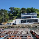 선창해상낚시터 이미지