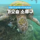 중부-현장-중부-928 | 가오슝 소류구 스노쿨링 가는법 페리 스쿠터대여 등 여행 정보와 소류구 당일치기 일정