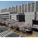 덕진구청 이미지