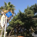 지삿개풍경 이미지