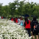 변산면사무소 이미지