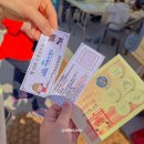 대박이 노리터 이미지