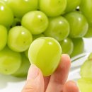 아이엠팜 이미지