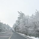 영실 1100고지 화장실 | 겨울 제주여행 1100고지습지 CCTV 눈꽃 드라이브
