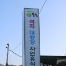 대황강 자연휴식공원 이미지
