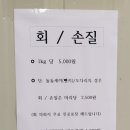 은정실내바다낚시터 네이버블로그