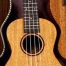 신나는우쿨렐레 이미지