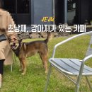 초낭재