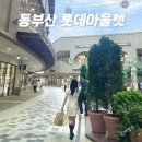 하남시청 본관(1층 2층) (옥내1) | 기장 동부산롯데아울렛 주차 꿀팁 폴로 명품 웨이팅 주말 방문 후기