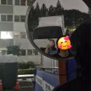 투투 동물병원 | 마라탕 먹고 싶다