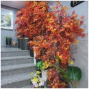 단풍미인한우 도청점 이미지