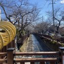 블라썸여좌 사회적협동조합 이미지