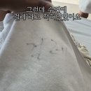 여수 비치호텔 이미지