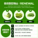 영칼로리포케천안
