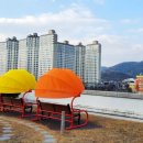 유가읍사무소 이미지