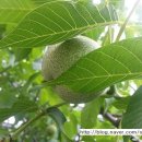 이천우의원 이미지