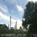 센트럴파크로 | 혼자 뉴욕 여행🗽 1. 센트럴파크에서 요가를 (예약 방법, 후기)