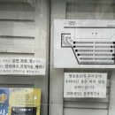 8월 공연 뮤지컬 더 오즈 | 어린이뮤지컬 4세, 6세 아이랑 볼만한 대학로 아동극 반짝반짝 오즈의 마법사