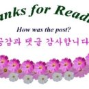 전통호두과자천안당 이미지