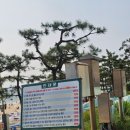 대천해수욕장 공영주차장 티스토리