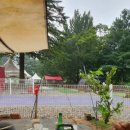 미산분교 캠핑장 이미지