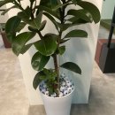 전농골프아카데미 이미지