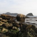 아라솔 펜션 이미지