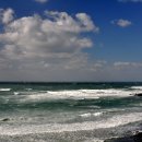 자연농원 이미지