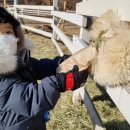 재환목장 이미지