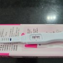 정상정자1% 자연임신 성공 후기(참담한 정액검사 결과)