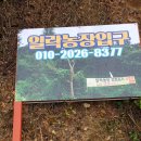 한기농장 | 20250828 밤 주우러 가자, 공주 일락농장 알밤줍기, 새이학가든