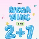 윙크렌즈스토어 네이버블로그