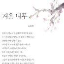 겨울나무/도종환 이미지