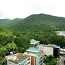 엘앤더슨병원 | 부산암요양병원 엘앤더슨병원 숲치료 후기