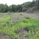 큰길부동산중개사무소 이미지