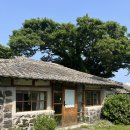 [리뷰] 제주 한림 나만 알고싶은 숙소 독채 제주고옥 내돈내산 후기