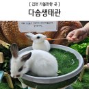 다솜생태관 이미지