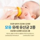 테디베어에프엔비 이미지