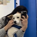 위드마이베스티 이미지