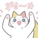 참치광 이미지