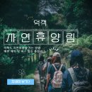 안산시민택시협동조합 | 덕적도 자연휴양림 가는 방법 배편 예약 및 버스 탑승 총정리