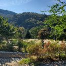 성균관숲유치원 이미지