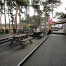 마이앤트세라 이미지