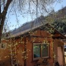 춘화로 14-3 이미지