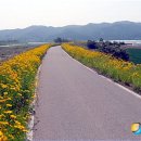 영해면 송천강변 뉴시스