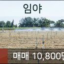 연세한빛외과의원 이미지