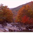 나한의원(쌍봉사거리) 이미지