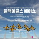 스페이스 인더문 | 부산 블랙이글스 에어쇼 영상 사진 COSPAR2024 국제우주연구 학술총회 기간 정보 총정리_영어공부
