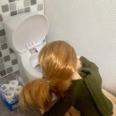 멍청하개 | 아쉬운 시간들은 추억에 담고